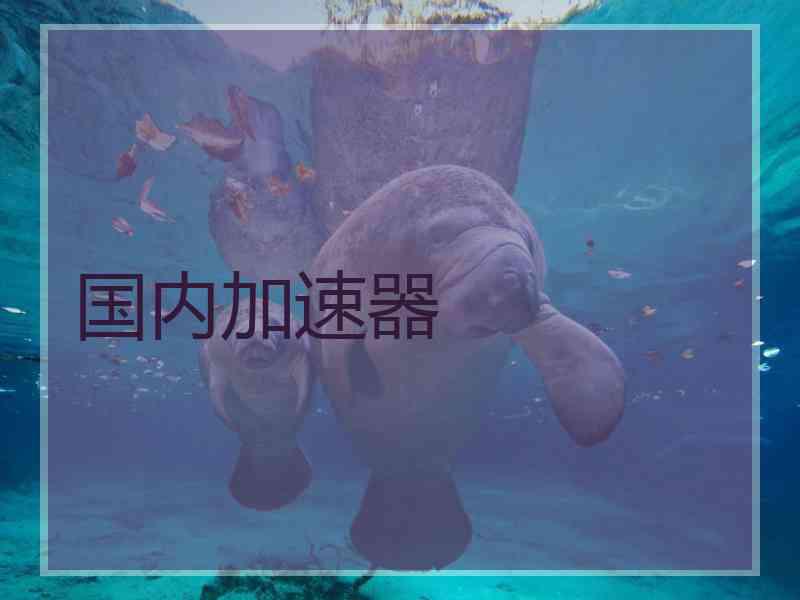 国内加速器
