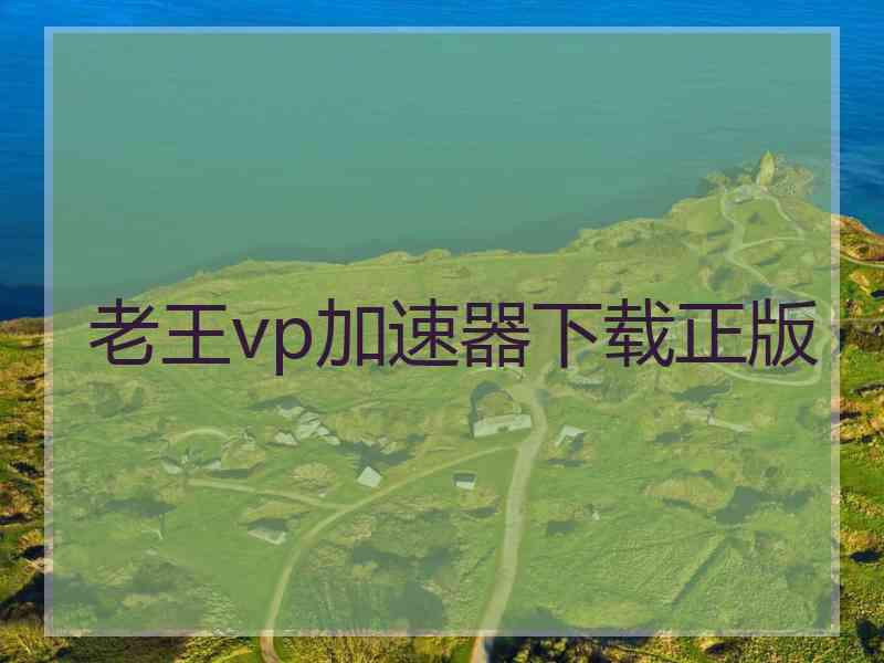 老王vp加速器下载正版