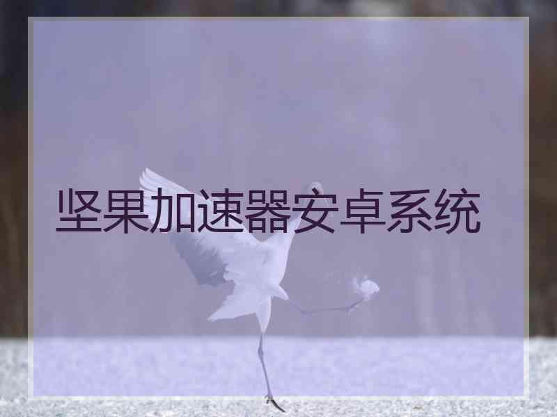 坚果加速器安卓系统
