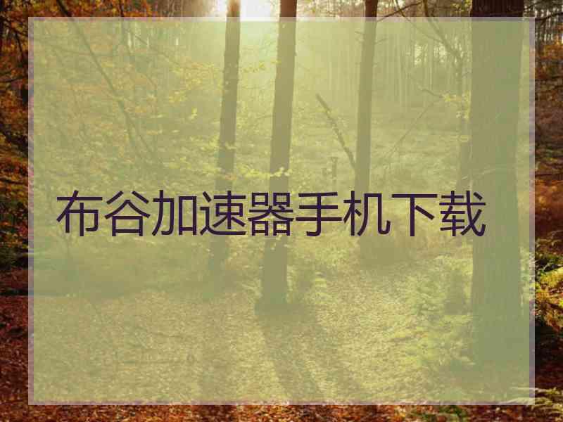 布谷加速器手机下载