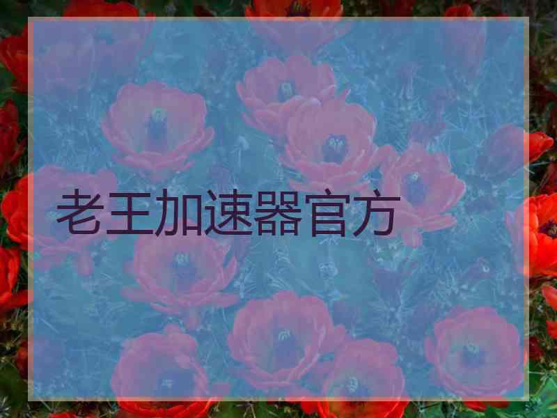 老王加速器官方