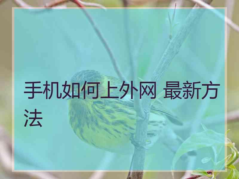手机如何上外网 最新方法