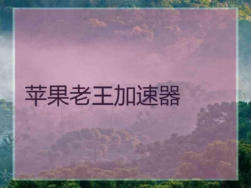 苹果老王加速器