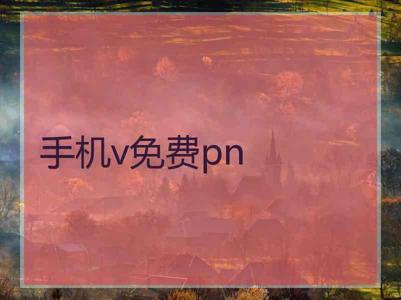 手机v免费pn
