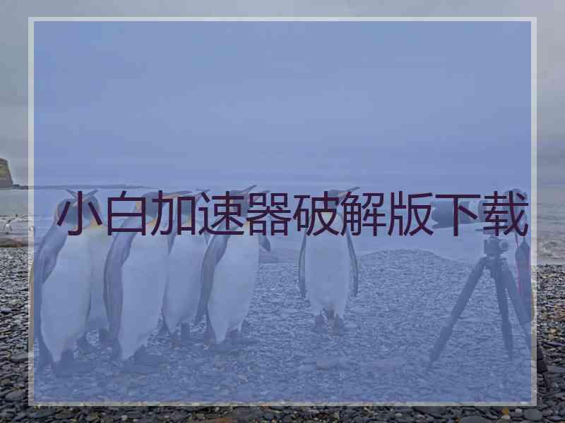 小白加速器破解版下载