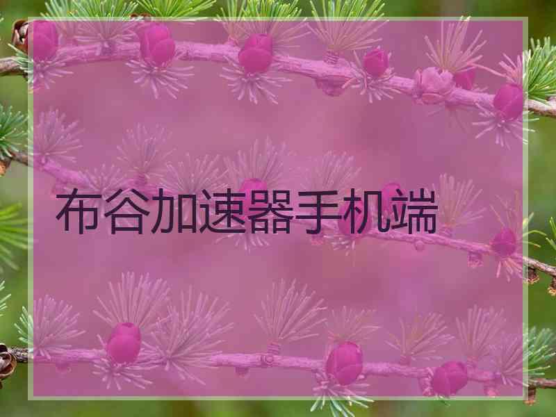 布谷加速器手机端