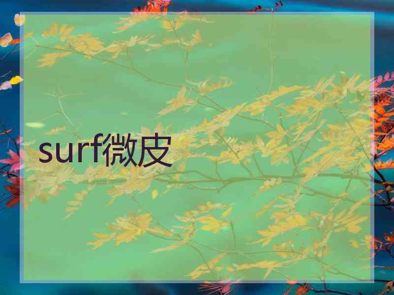 surf微皮
