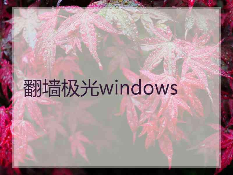 翻墙极光windows