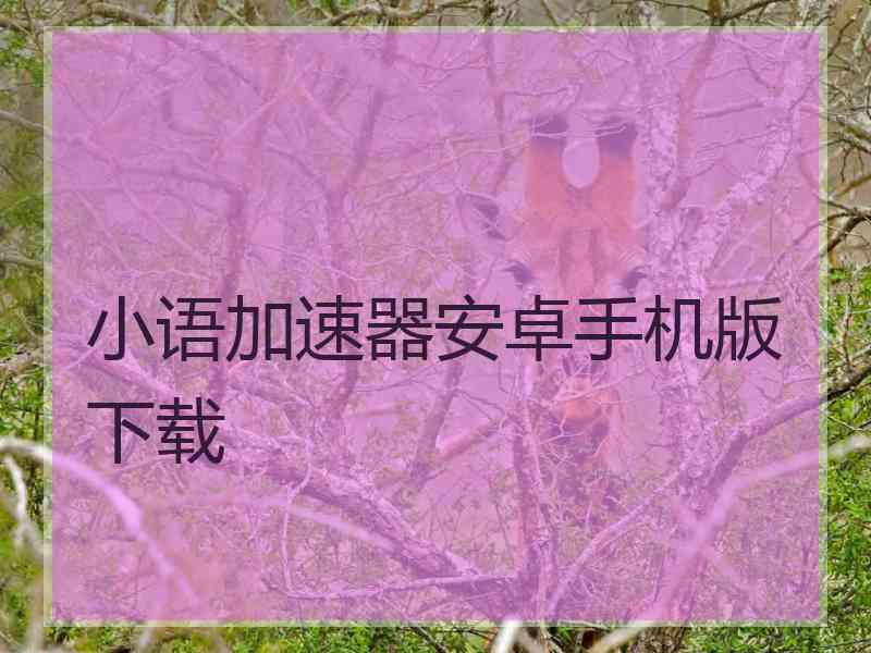 小语加速器安卓手机版下载