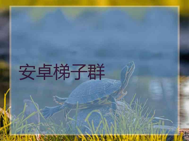 安卓梯子群
