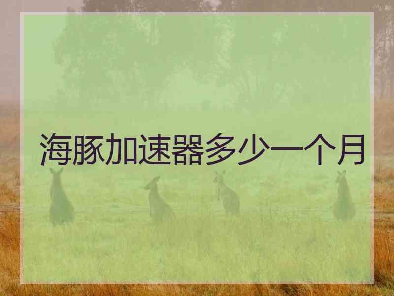 海豚加速器多少一个月