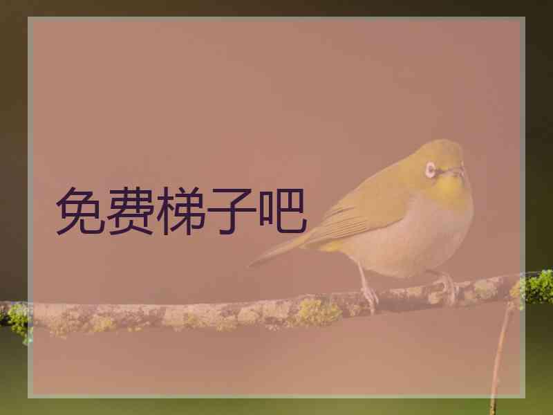 免费梯子吧