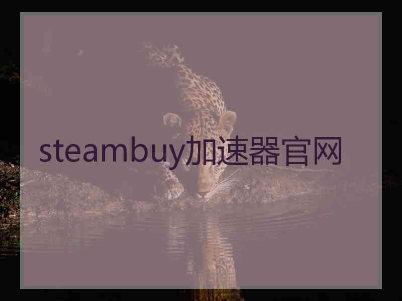 steambuy加速器官网