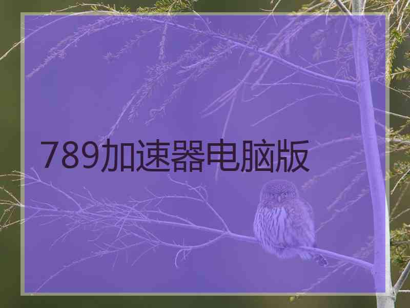 789加速器电脑版
