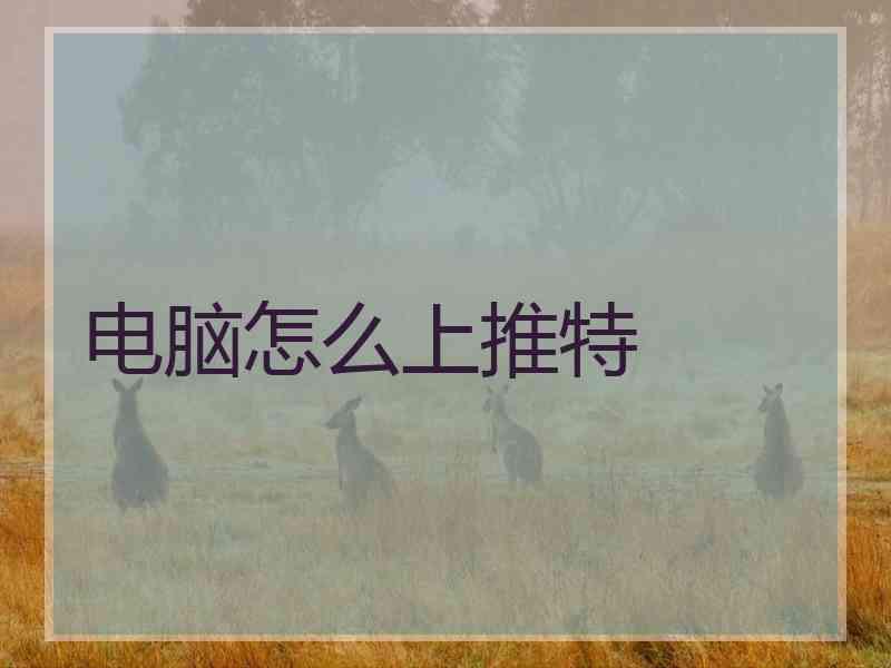 电脑怎么上推特