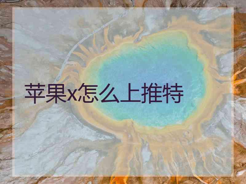 苹果x怎么上推特