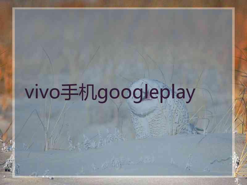 vivo手机googleplay