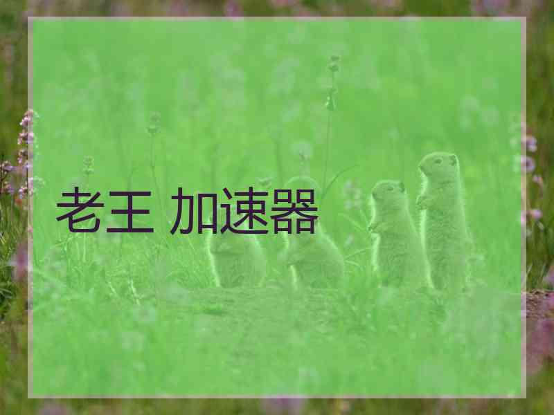 老王 加速器
