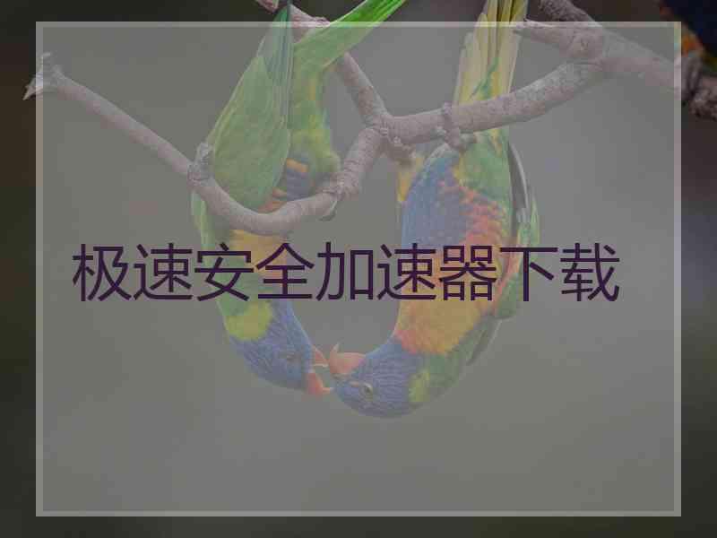 极速安全加速器下载