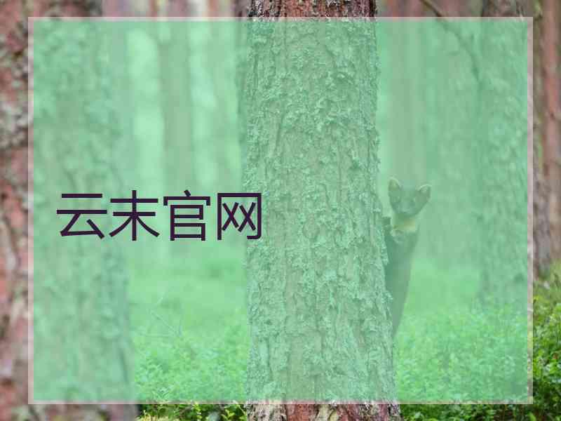 云末官网