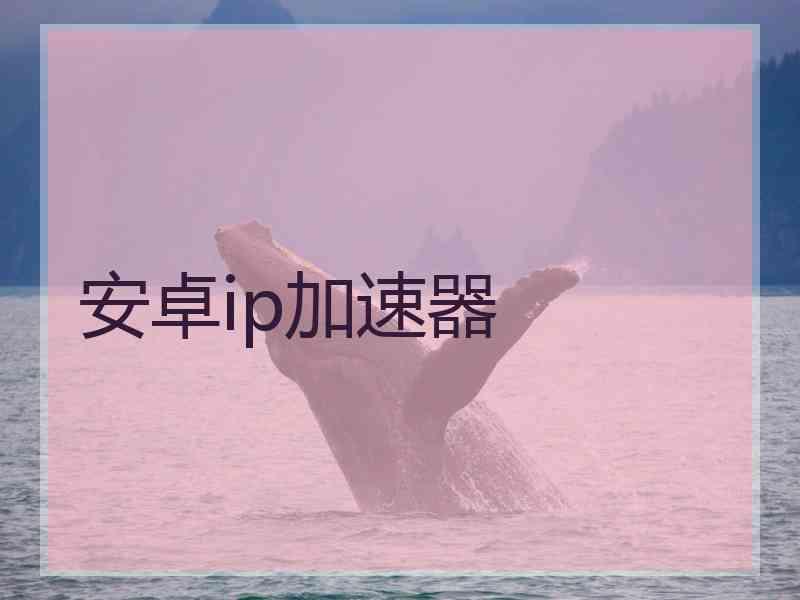 安卓ip加速器