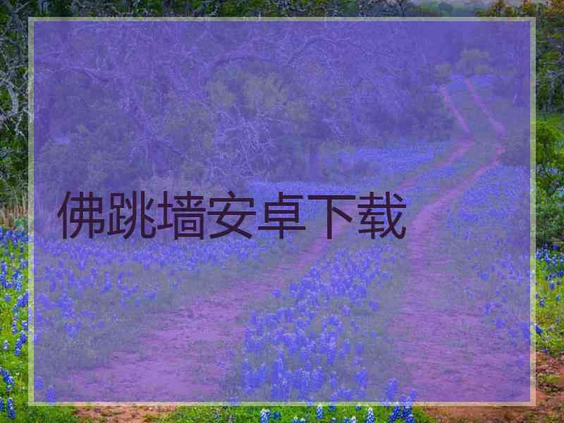 佛跳墙安卓下载