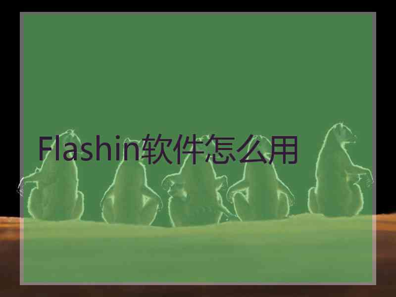 Flashin软件怎么用