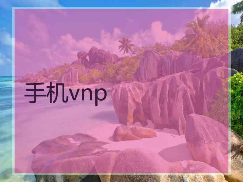 手机vnp