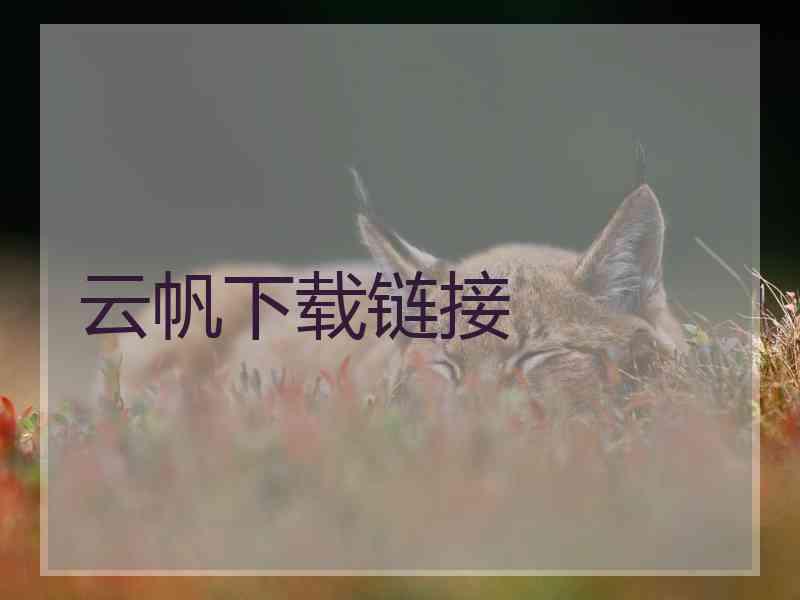 云帆下载链接