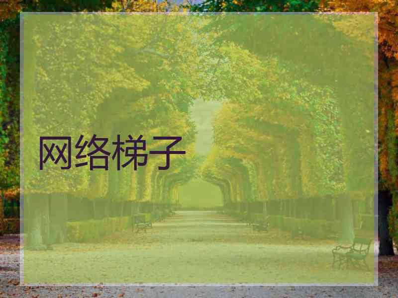 网络梯子