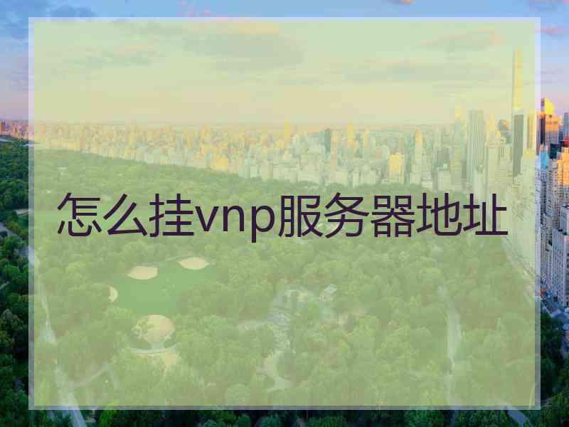 怎么挂vnp服务器地址