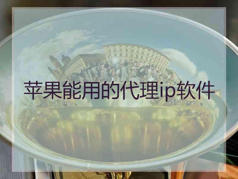 苹果能用的代理ip软件