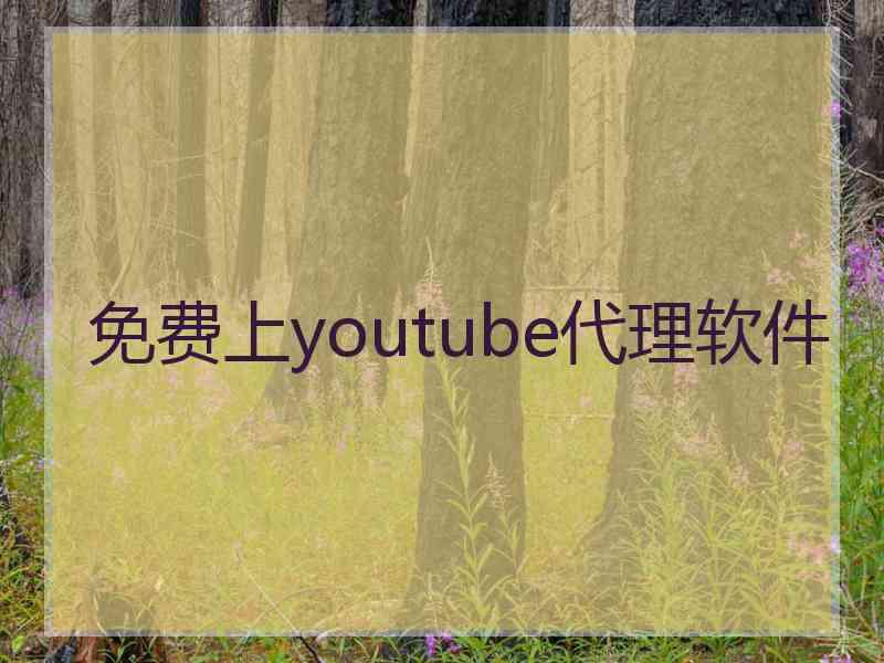 免费上youtube代理软件