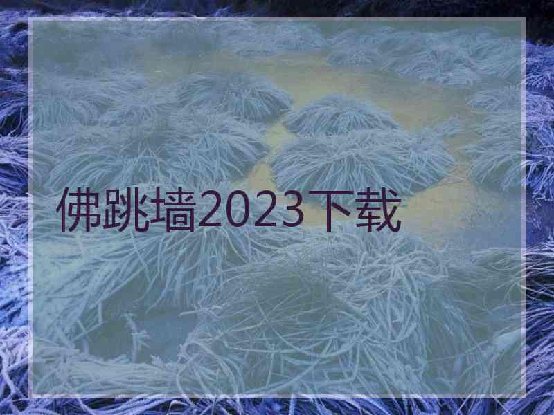 佛跳墙2023下载