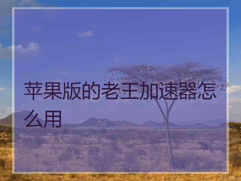 苹果版的老王加速器怎么用
