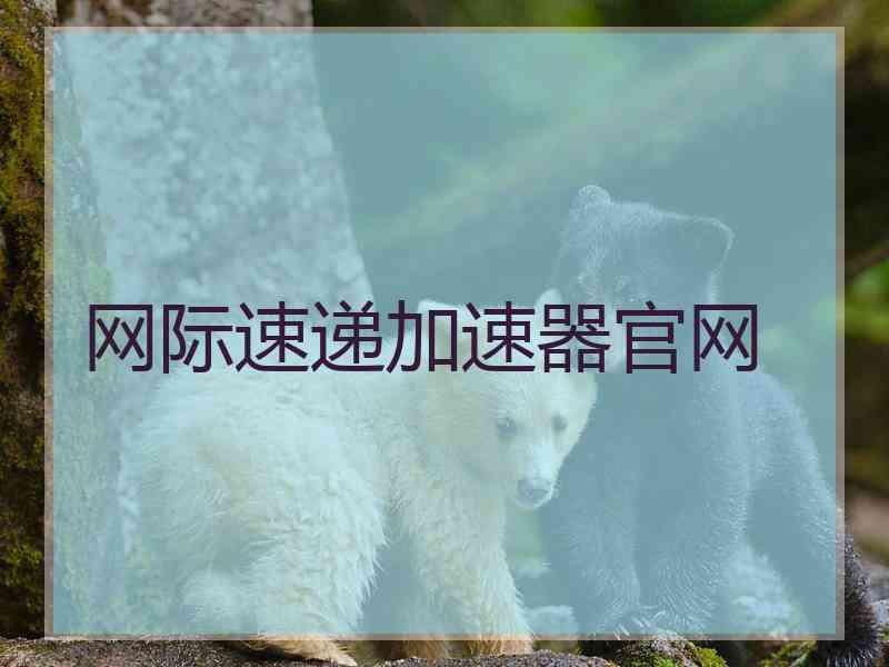 网际速递加速器官网