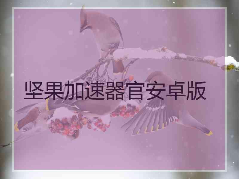 坚果加速器官安卓版