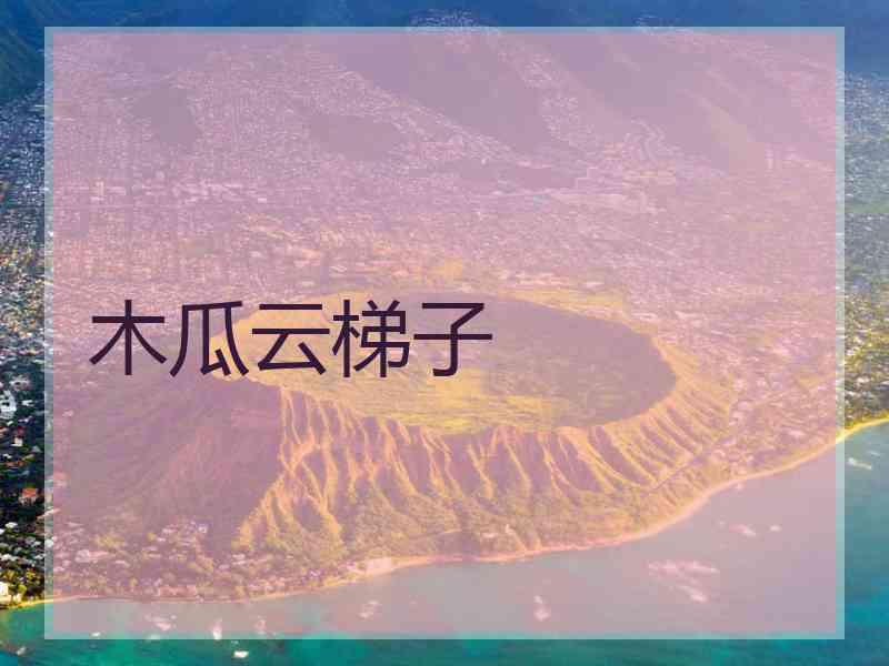 木瓜云梯子