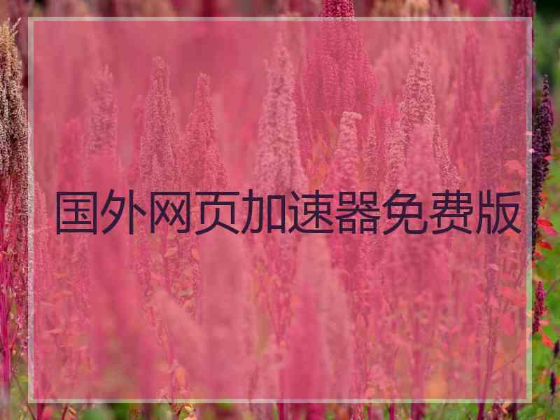 国外网页加速器免费版
