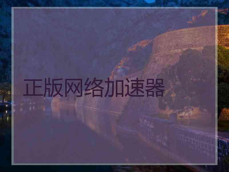 正版网络加速器