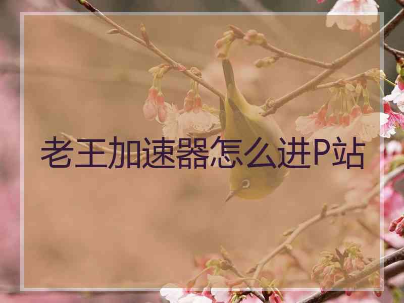 老王加速器怎么进P站