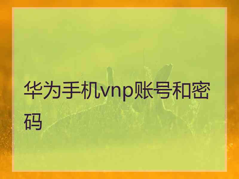 华为手机vnp账号和密码