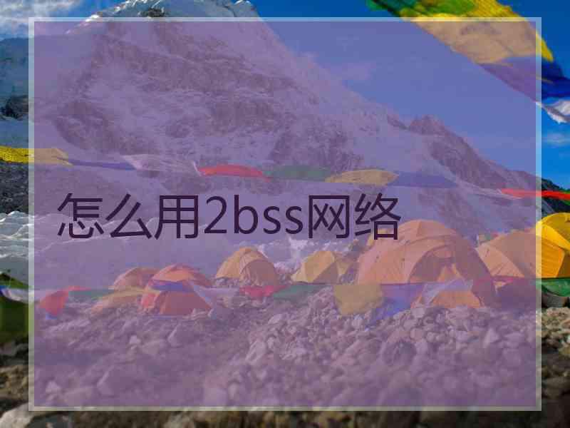怎么用2bss网络