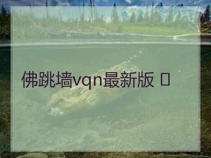 佛跳墙vqn最新版 	