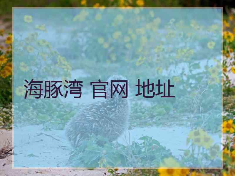 海豚湾 官网 地址