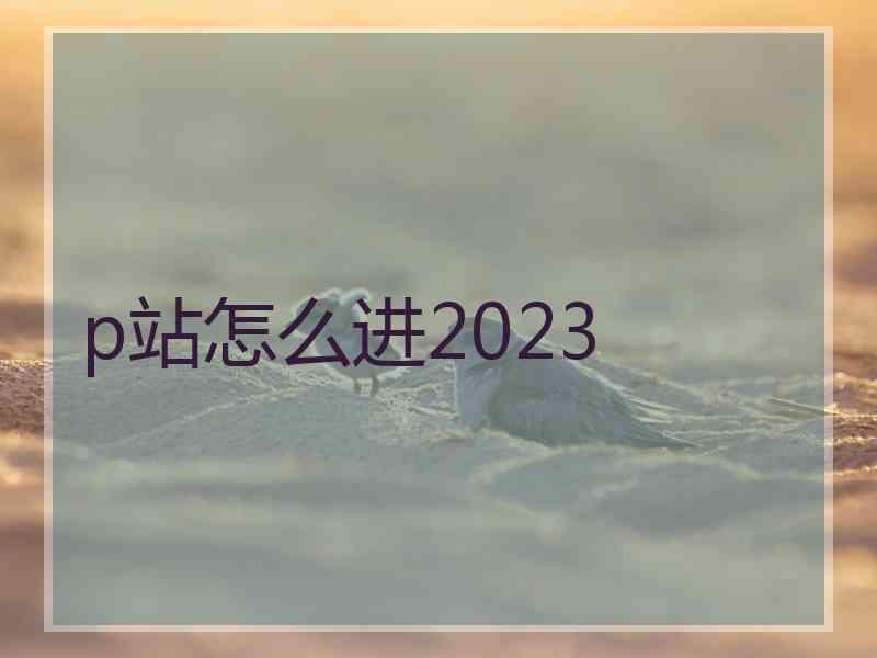 p站怎么进2023
