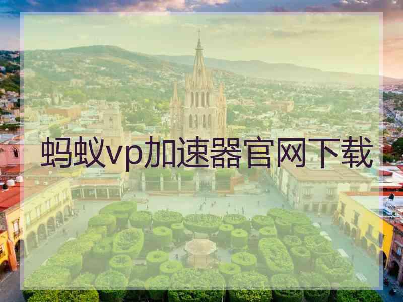 蚂蚁vp加速器官网下载
