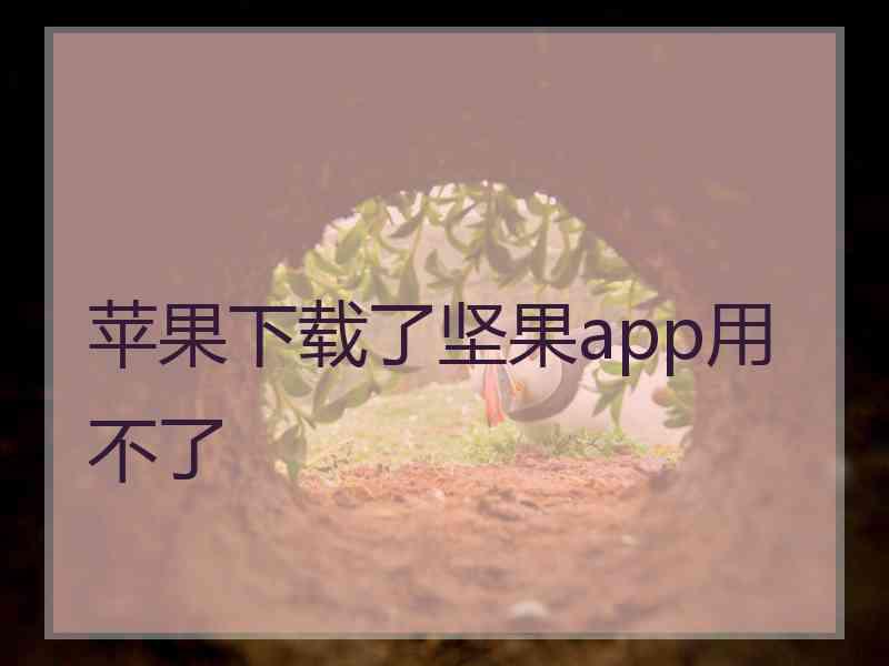 苹果下载了坚果app用不了