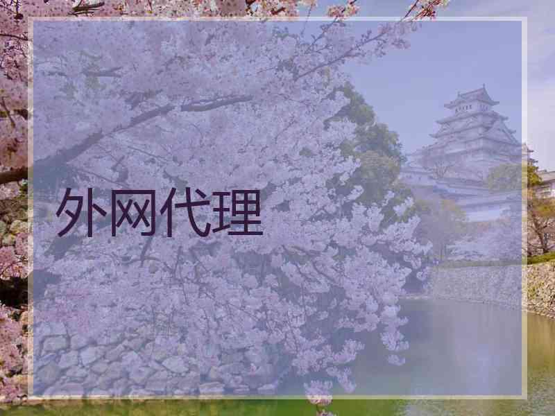外网代理
