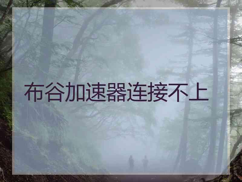 布谷加速器连接不上